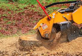 How Our Tree Care Process Works  in  Bayside Gardens, OR